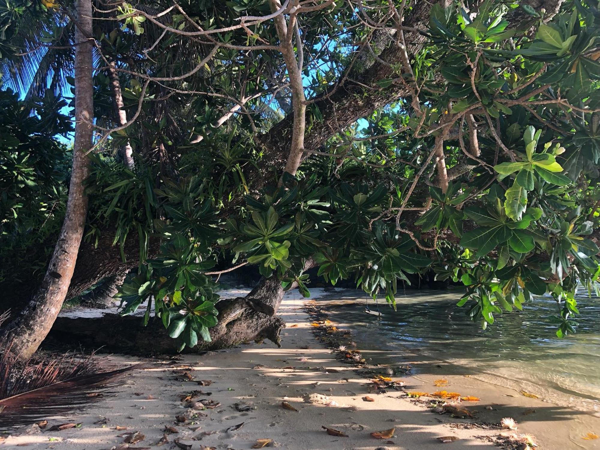 Aurora Lodge Ile aux Nattes المظهر الخارجي الصورة